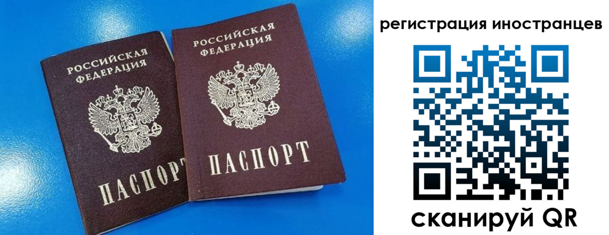 временная регистрация поиск в Новгородской области