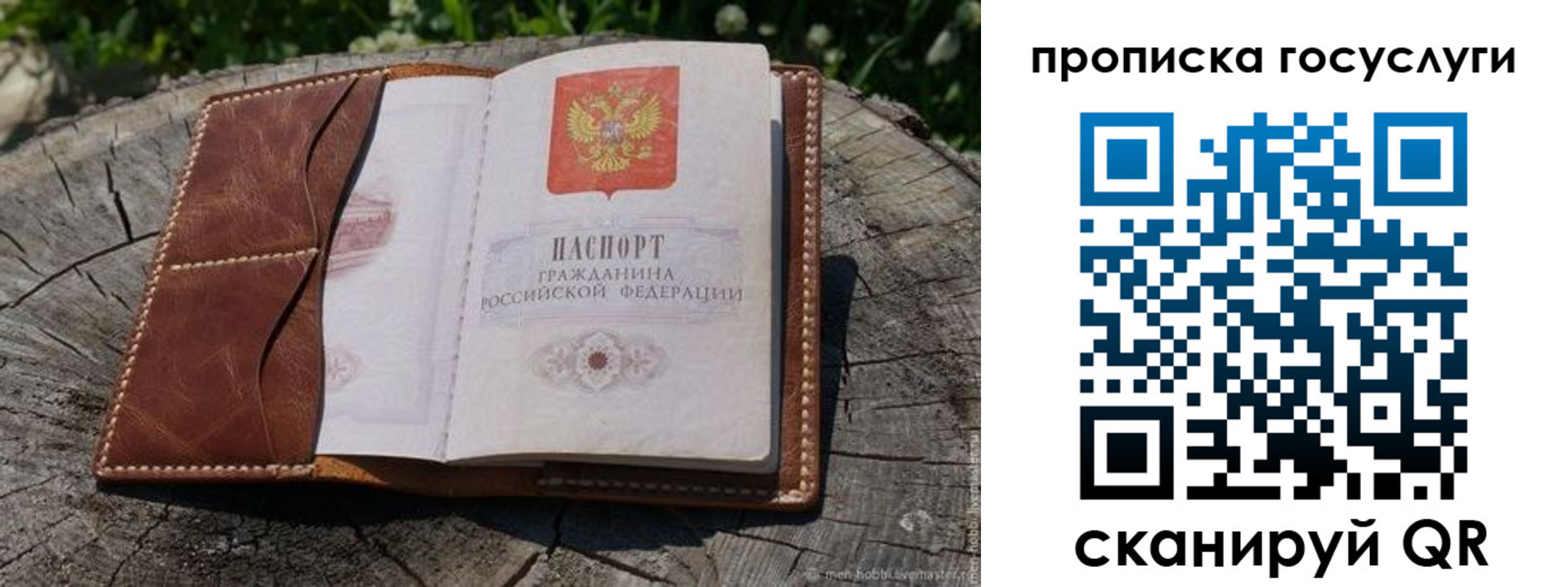 прописка для школы в Новгородской области