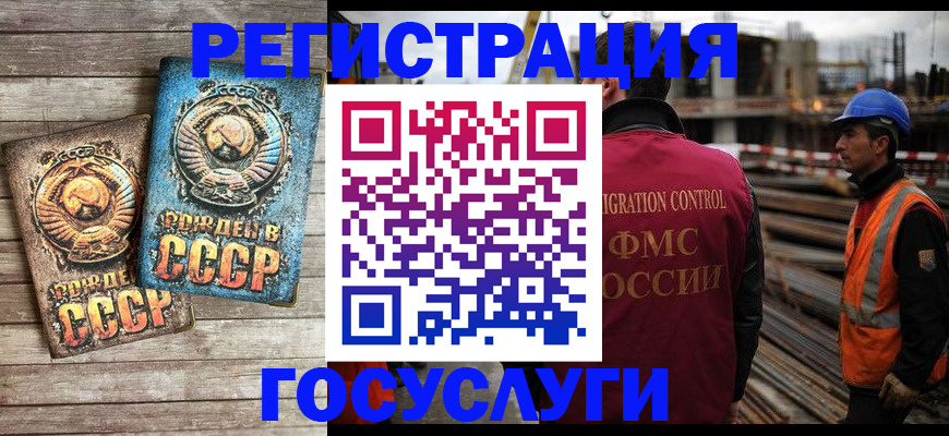 где прописаться в Новгородской области